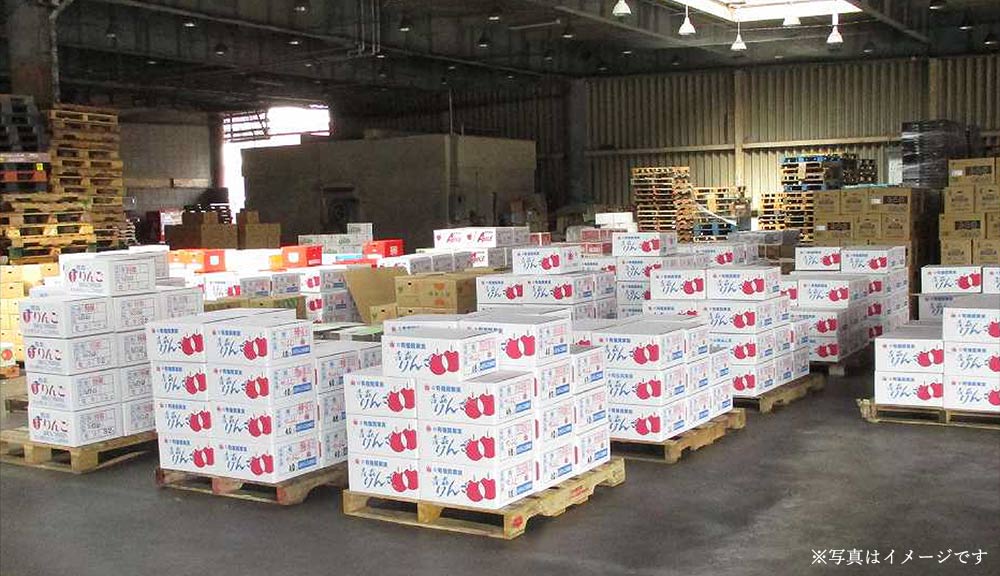 Maazel Corporationは下関市青果市場に本社・加工場・出荷場を構えています