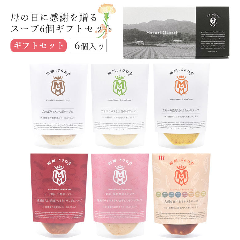 【母の日ギフト】6個スープギフトセット